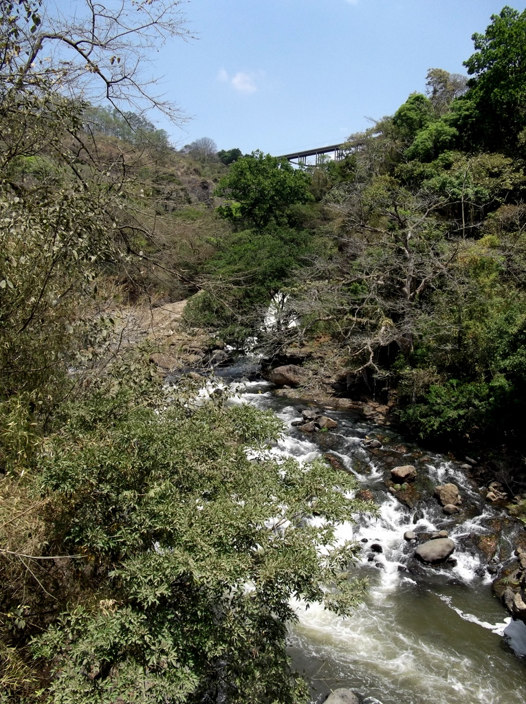 Slide 4
